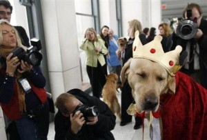 kingLab