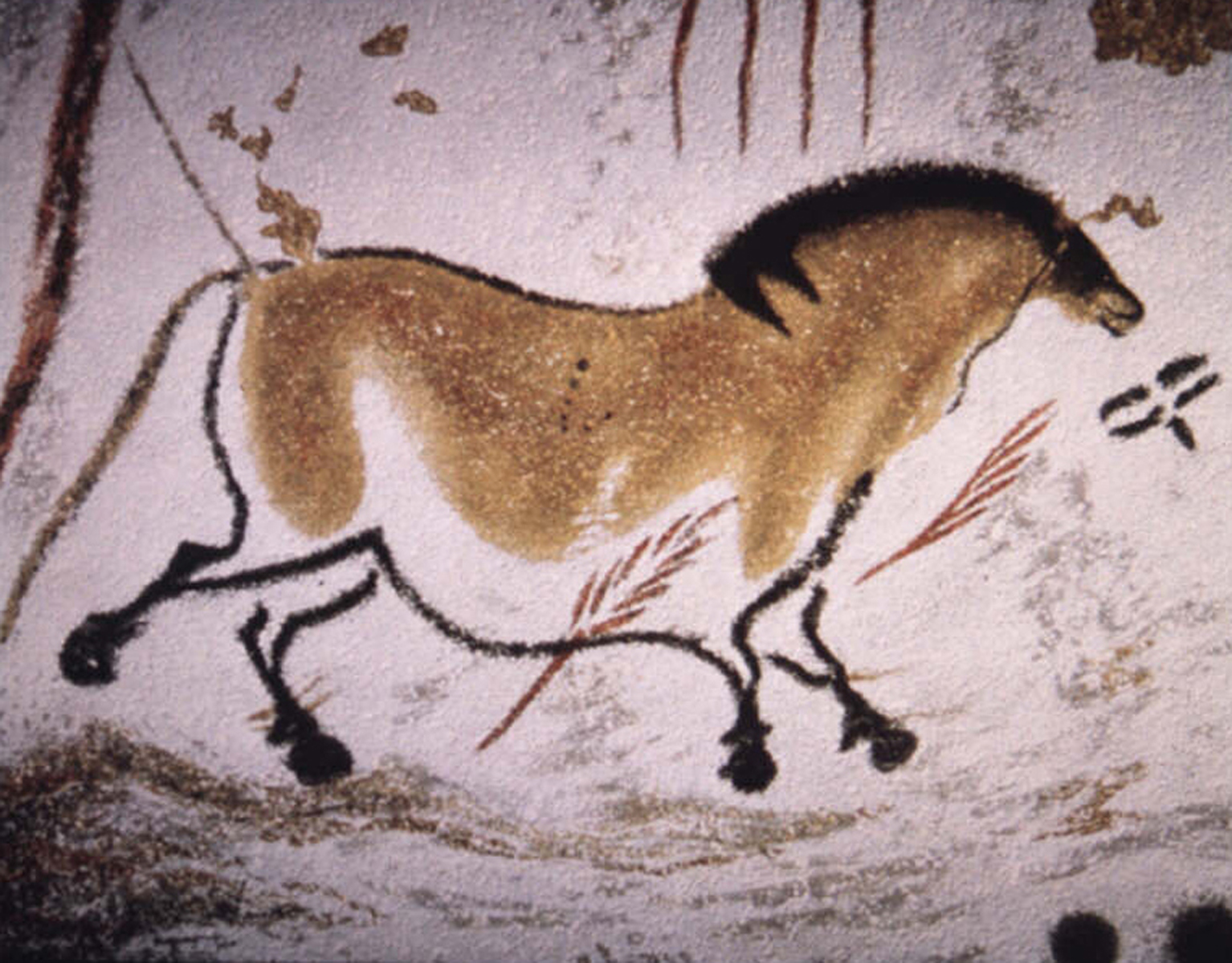 Lascaux Cave Paintings - horse