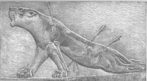 lioness
